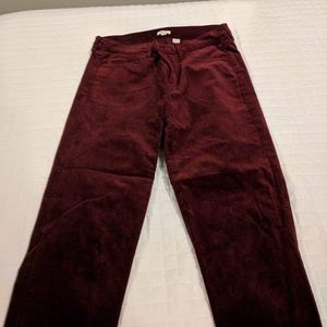 Wine velvet pants